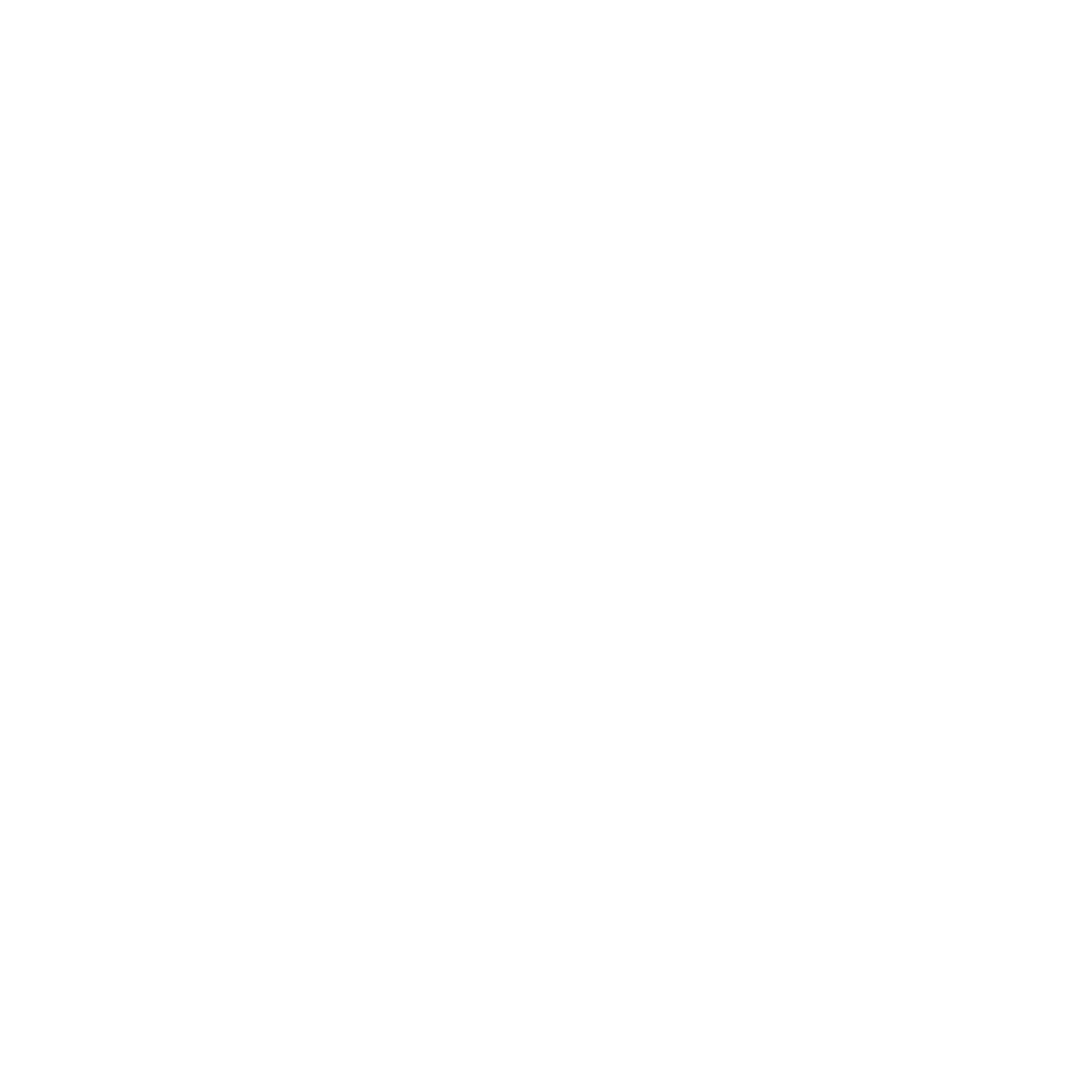 Logo Morbidelli